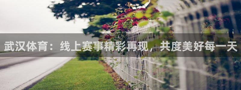 武汉体育：线上赛事精彩再现，共度美好每一天