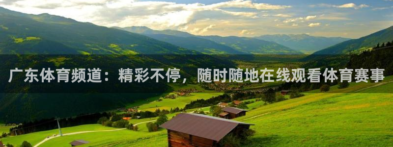 广东体育频道：精彩不停，随时随地在线观看体育赛事