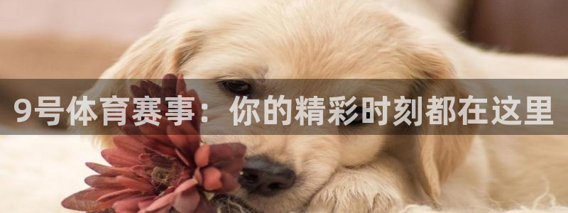 9号体育赛事：你的精彩时刻都在这里