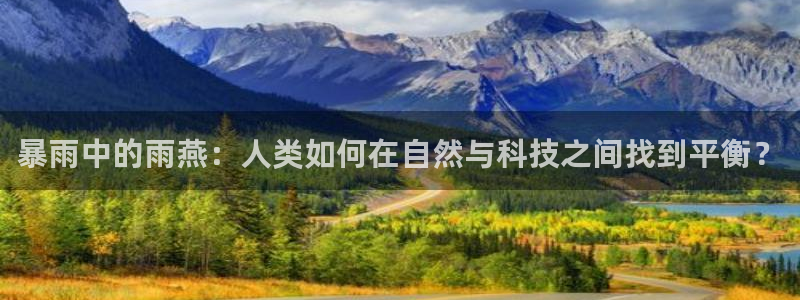 暴雨中的雨燕：人类如何在自然与科技之间找到平衡？