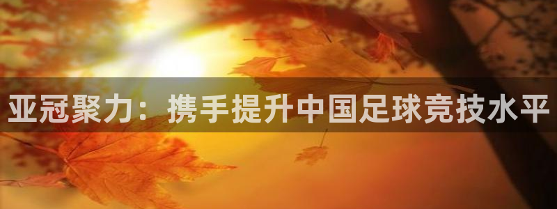 亚冠聚力：携手提升中国足球竞技水平