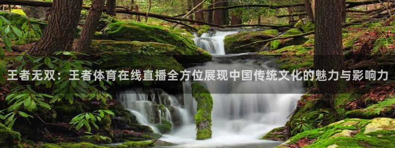 王者无双：王者体育在线直播全方位展现中国传统文化的魅力与影响力