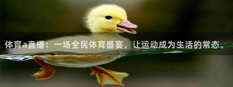 体育a直播：一场全民体育盛宴，让运动成为生活的常态。