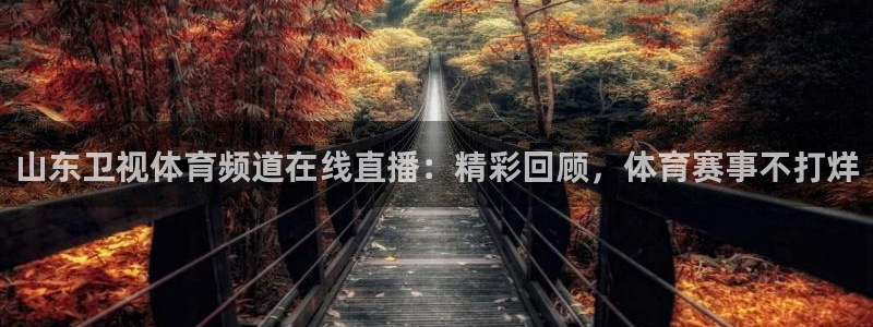 山东卫视体育频道在线直播：精彩回顾，体育赛事不打烊