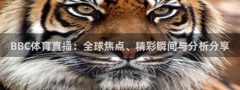 BBC体育直播：全球焦点、精彩瞬间与分析分享