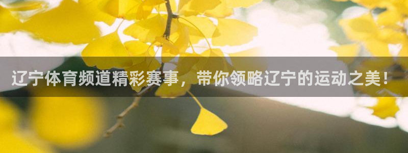 辽宁体育频道精彩赛事，带你领略辽宁的运动之美！