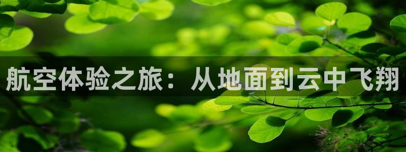 航空体验之旅：从地面到云中飞翔