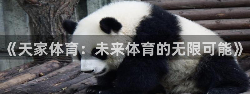 《天家体育：未来体育的无限可能》